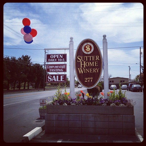 Photos from Napa This Week