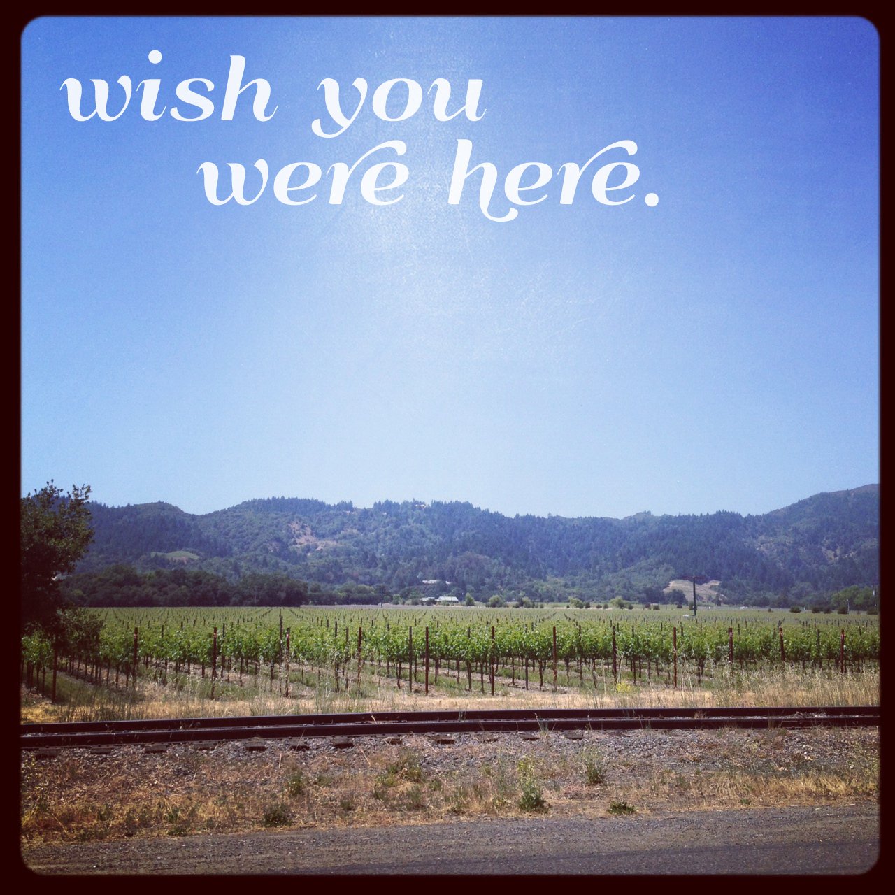 Hello from Napa Valley!